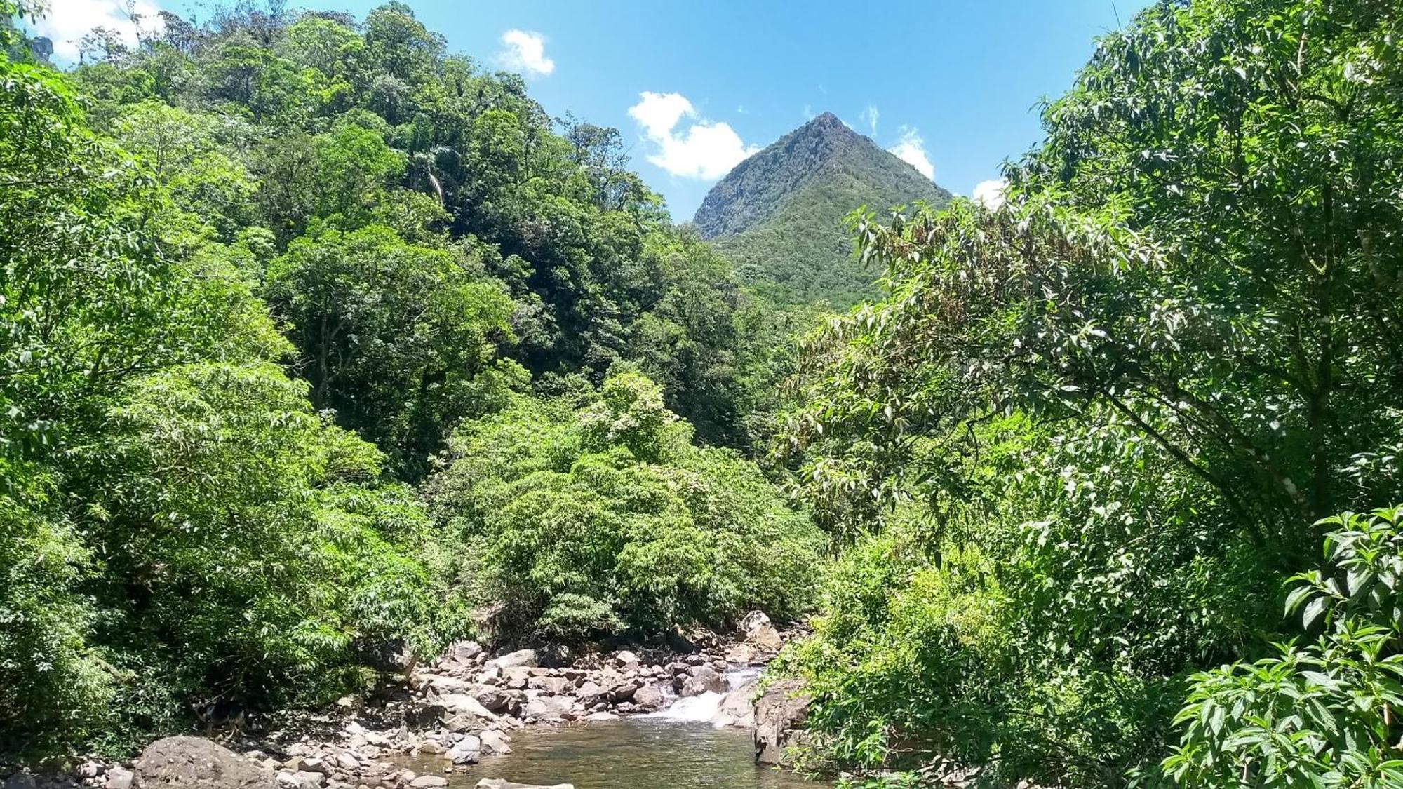 Hostel E Pousada Vale Mirante Da Rocha Timbe do Sul Dış mekan fotoğraf